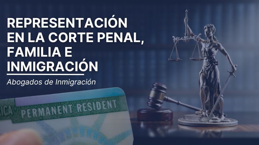 Representación en la Corte Penal, Familia e Inmigración